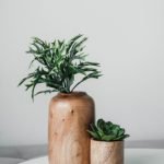 Wooden Greenery